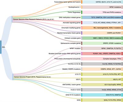 Biomarkers in Acute Myeloid Leukemia: Leveraging Next Generation Sequencing Data for Optimal Therapeutic Strategies